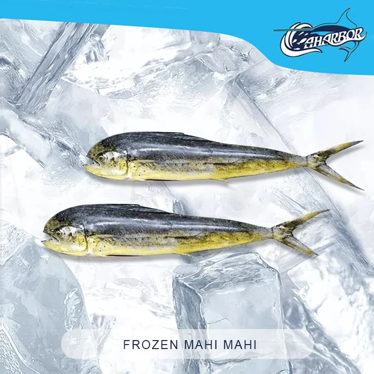 Fryst Mahi Mahi