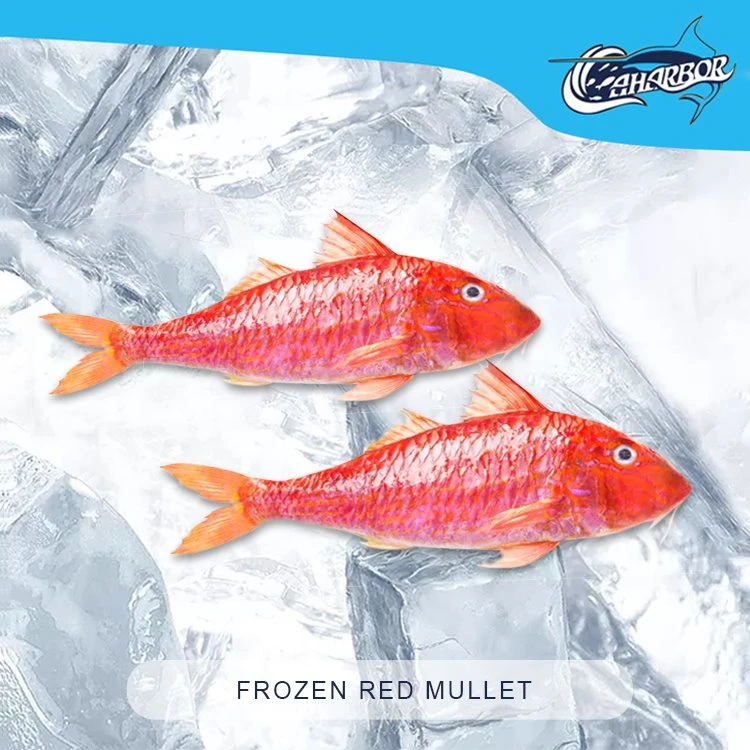 Fryst Röd Mullet