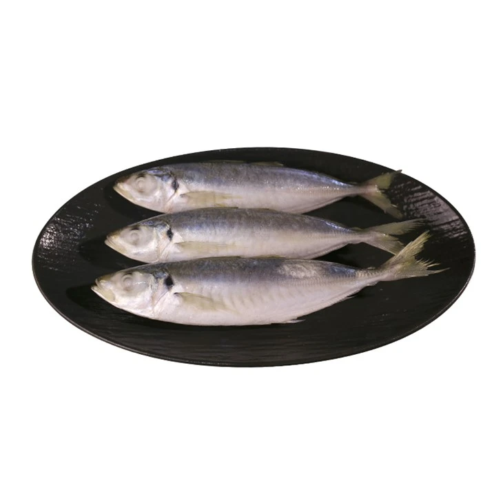 Kina Balang fisk