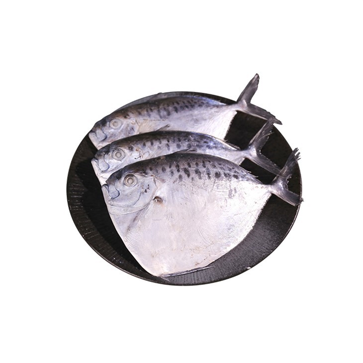 Fryst Opah