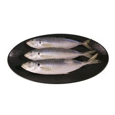 Rund scad med god kvalitet