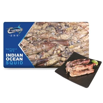 Havsfryst bläckfisk från Indiska oceanen