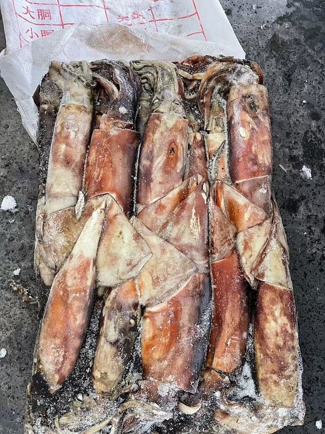 Frozen Peru Squid suppliers