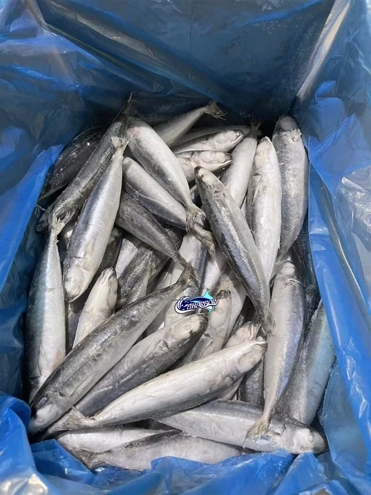 Frozen Slender Scad Fish suppliers