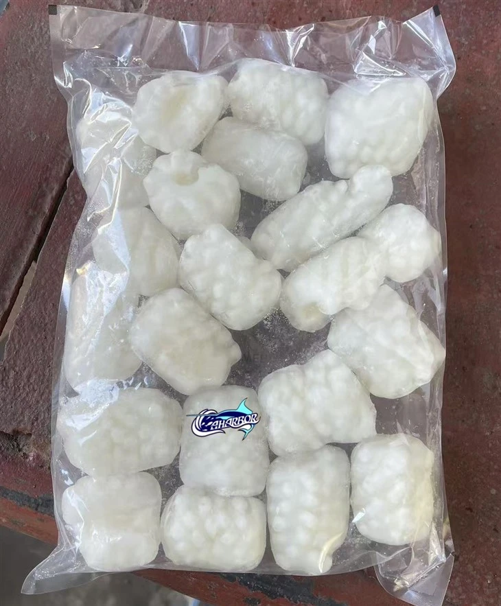 Frozen Squid Bloom