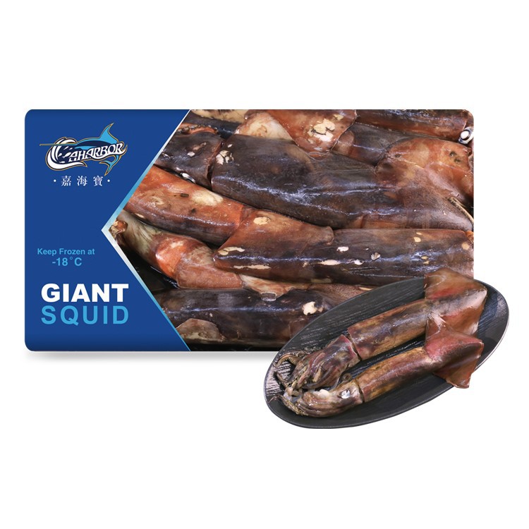 giant squid giant squid