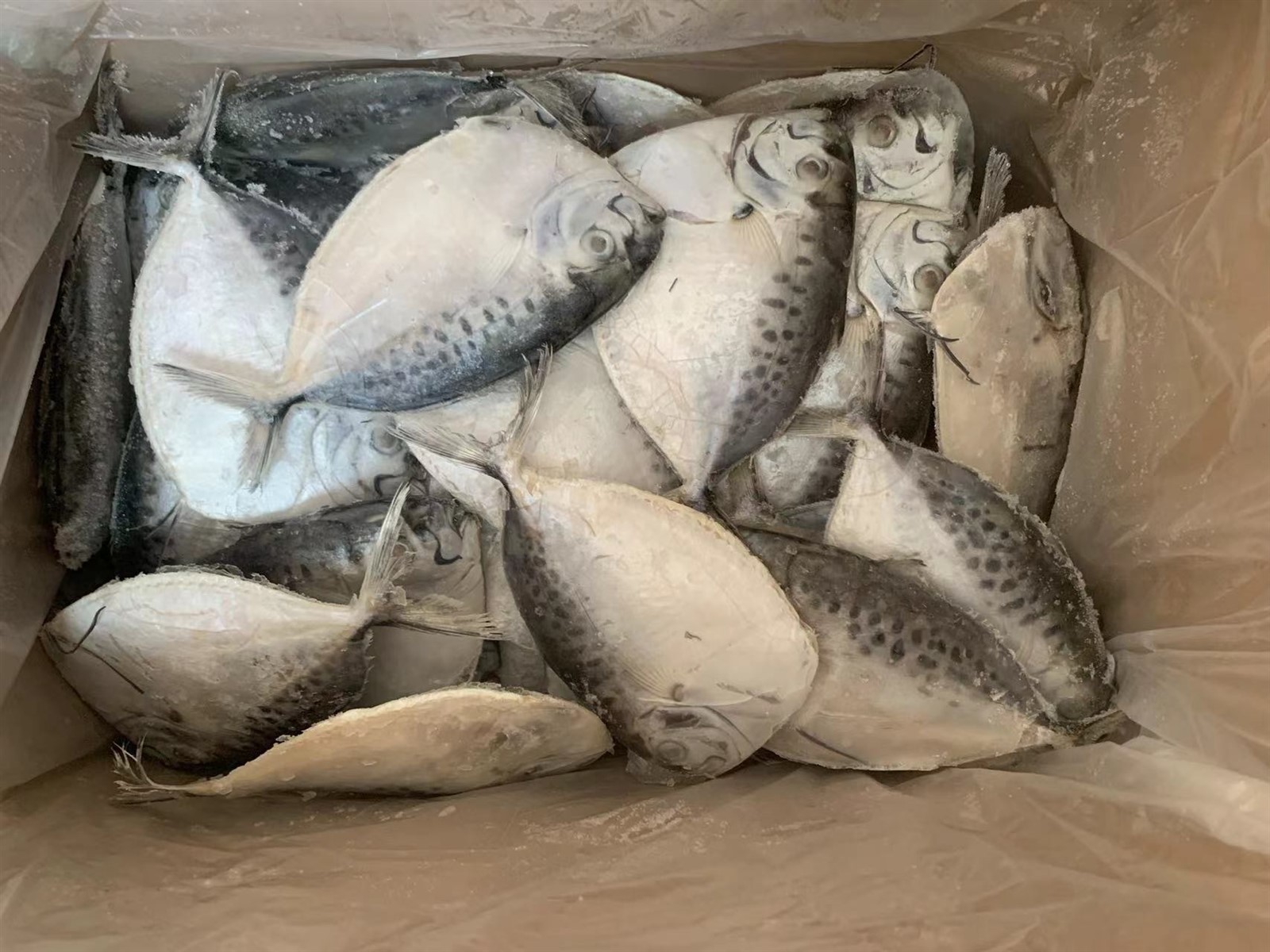 0e94a83e6f55b511ea2bcae7b428fd2 0e94a83e6f55b511ea2bcae7b428fd2